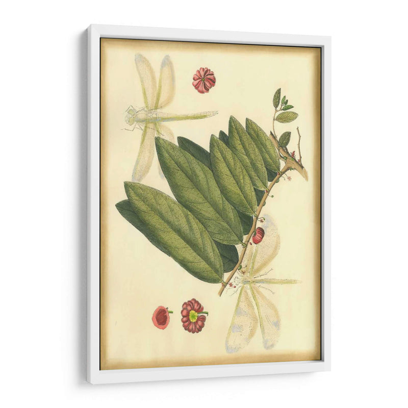 Floral Fantasia V | Cuadro decorativo de Canvas Lab