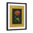 Tulipán En Frame III | Cuadro decorativo de Canvas Lab