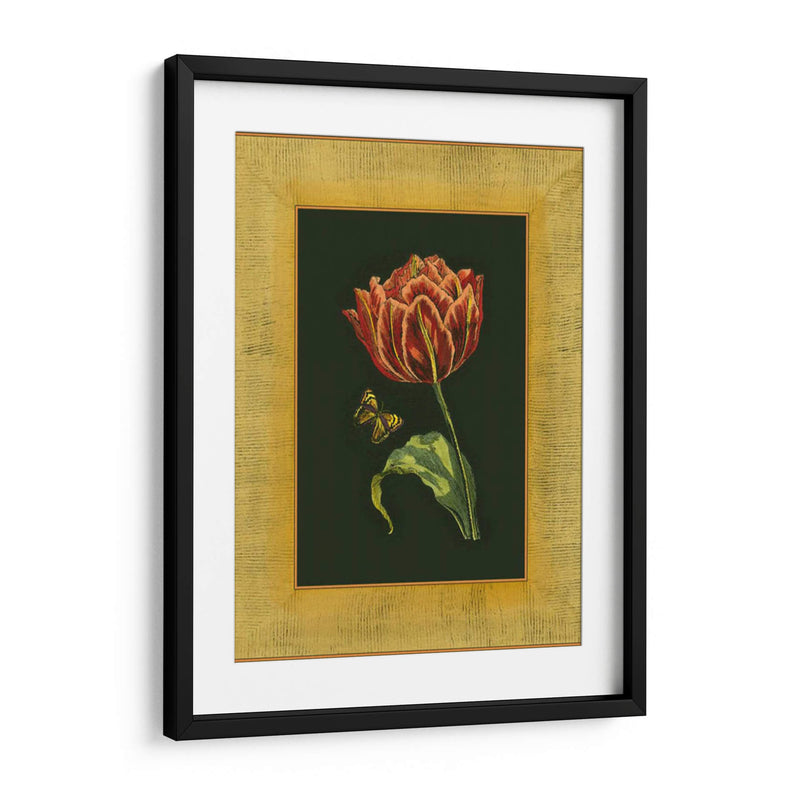 Tulipán En Frame III | Cuadro decorativo de Canvas Lab