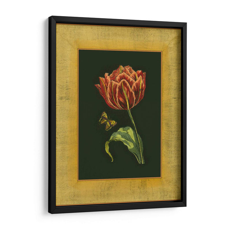 Tulipán En Frame III | Cuadro decorativo de Canvas Lab