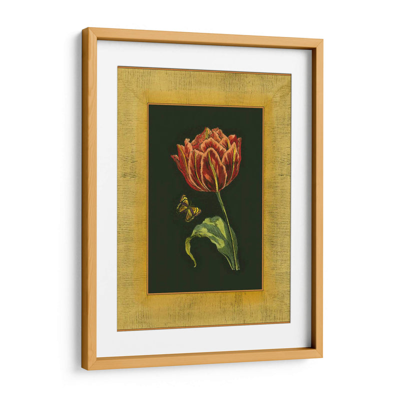 Tulipán En Frame III | Cuadro decorativo de Canvas Lab