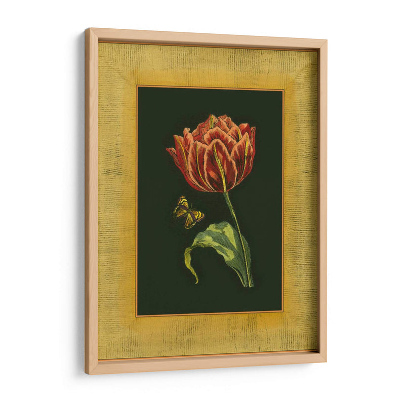 Tulipán En Frame III | Cuadro decorativo de Canvas Lab