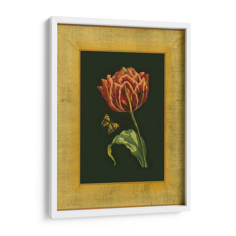 Tulipán En Frame III | Cuadro decorativo de Canvas Lab