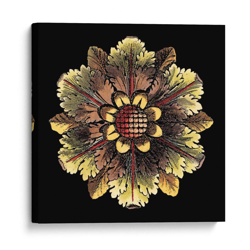 Roseta De Negro I - Da Carlo Antonini | Cuadro decorativo de Canvas Lab