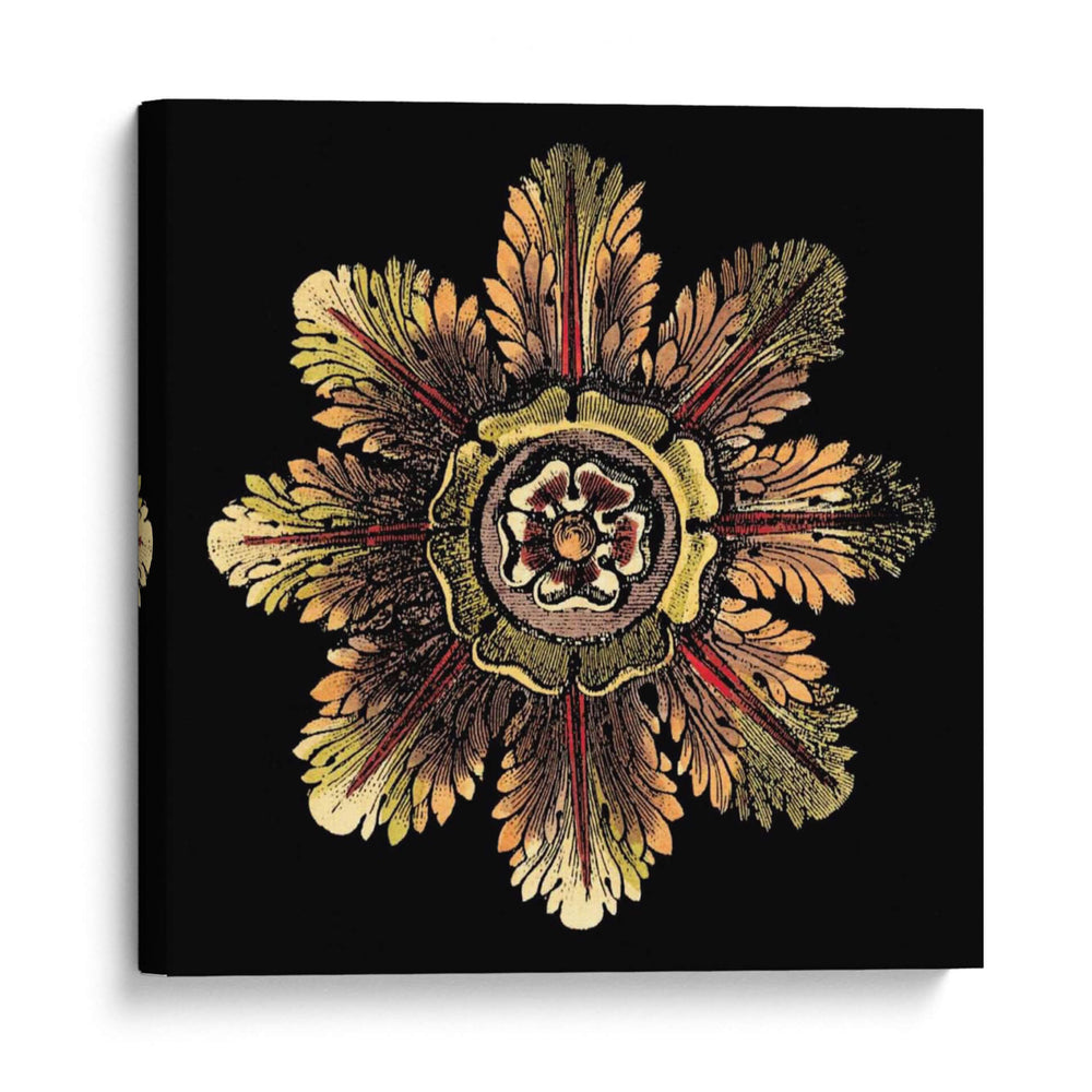 Roseta De Negro II - Da Carlo Antonini | Cuadro decorativo de Canvas Lab