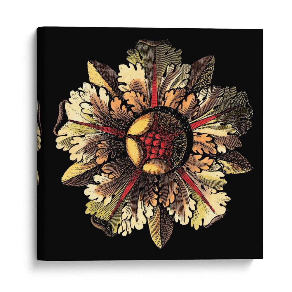 Roseta De Negro III - Da Carlo Antonini | Cuadro decorativo de Canvas Lab