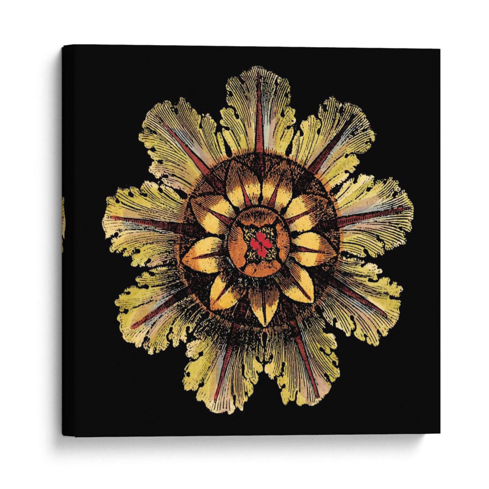 Roseta De Negro IV - Da Carlo Antonini | Cuadro decorativo de Canvas Lab