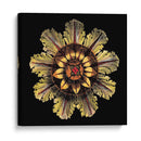 Roseta De Negro IV - Da Carlo Antonini | Cuadro decorativo de Canvas Lab