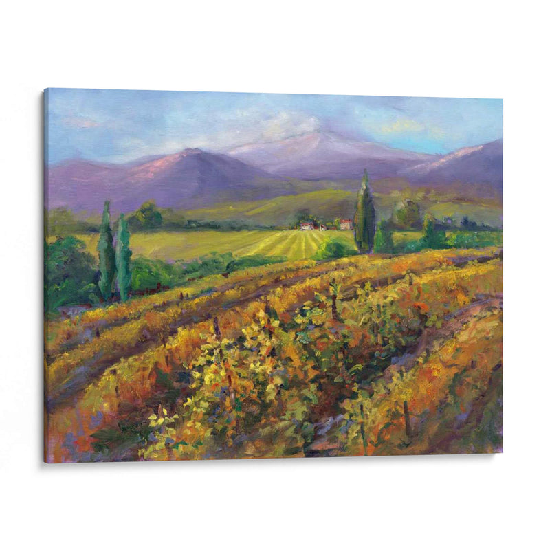 Vineyard Tapestry I - Nanette Oleson | Cuadro decorativo de Canvas Lab