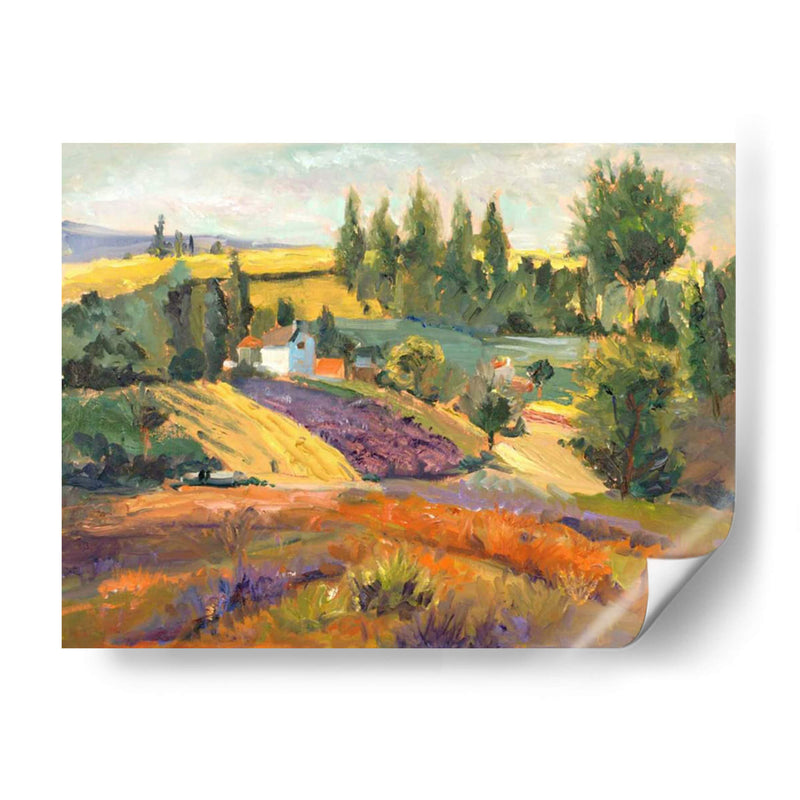 Vineyard Tapestry II - Nanette Oleson | Cuadro decorativo de Canvas Lab