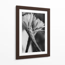 Las flores de un cactus | Cuadro decorativo de Canvas Lab