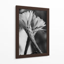 Las flores de un cactus | Cuadro decorativo de Canvas Lab