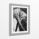 Las flores de un cactus | Cuadro decorativo de Canvas Lab