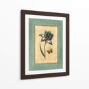 Craquelado Spa Tulipán Azul I - Vision Studio | Cuadro decorativo de Canvas Lab