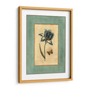 Craquelado Spa Tulipán Azul I - Vision Studio | Cuadro decorativo de Canvas Lab