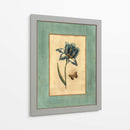 Craquelado Spa Tulipán Azul I - Vision Studio | Cuadro decorativo de Canvas Lab