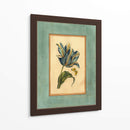 Craquelado Spa Tulipán Azul II - Vision Studio | Cuadro decorativo de Canvas Lab