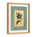 Craquelado Spa Tulipán Azul II - Vision Studio | Cuadro decorativo de Canvas Lab