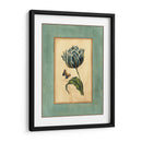 Craquelado Spa Tulipán Azul IV - Vision Studio | Cuadro decorativo de Canvas Lab