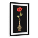 Magia De La Amapola II - Vision Studio | Cuadro decorativo de Canvas Lab