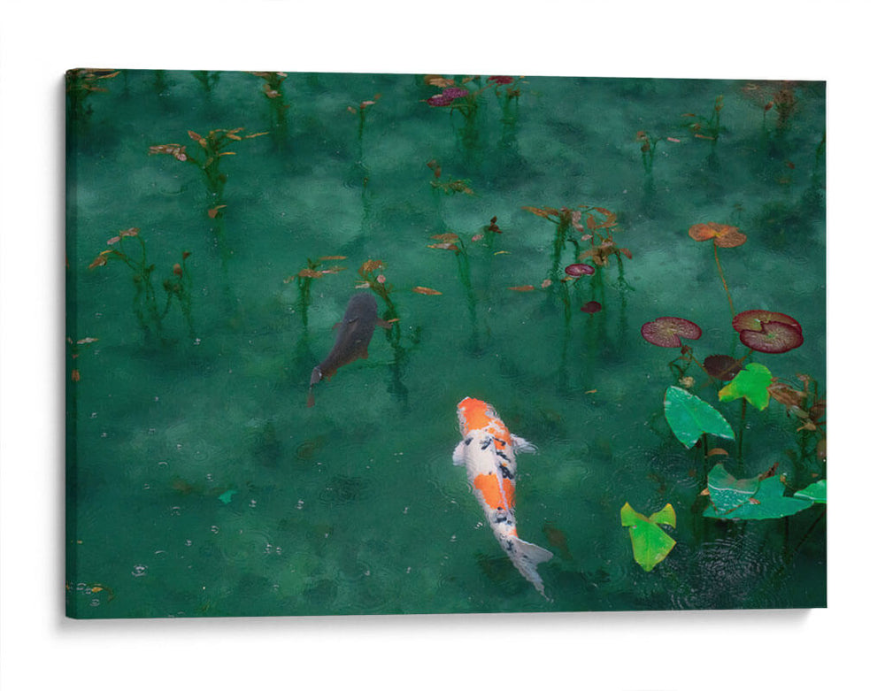 Llovizna ligera | Cuadro decorativo de Canvas Lab