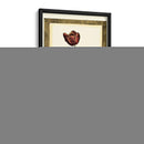 Jens Tulip I - Vision Studio | Cuadro decorativo de Canvas Lab