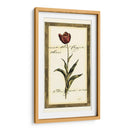 Jens Tulip I - Vision Studio | Cuadro decorativo de Canvas Lab