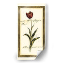 Jens Tulip I - Vision Studio | Cuadro decorativo de Canvas Lab