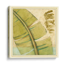 Peacock Palm III - Jennifer Goldberger | Cuadro decorativo de Canvas Lab