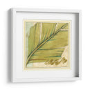 Peacock Palma IV - Jennifer Goldberger | Cuadro decorativo de Canvas Lab