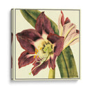 Poetic Blossoms III - Vision Studio | Cuadro decorativo de Canvas Lab