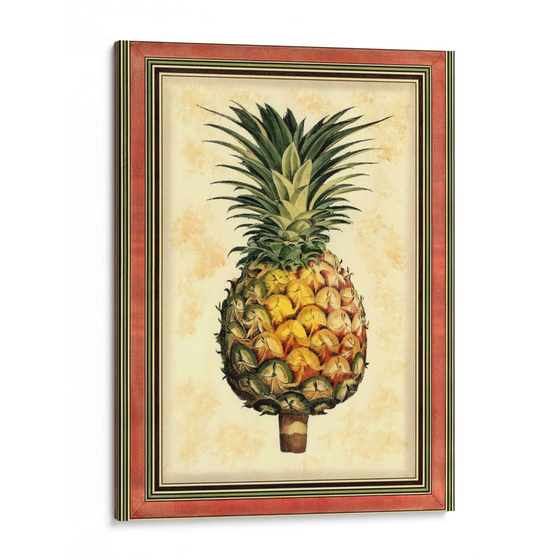 Piña Esplendor I - Vision Studio | Cuadro decorativo de Canvas Lab