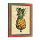 Piña Esplendor I - Vision Studio | Cuadro decorativo de Canvas Lab