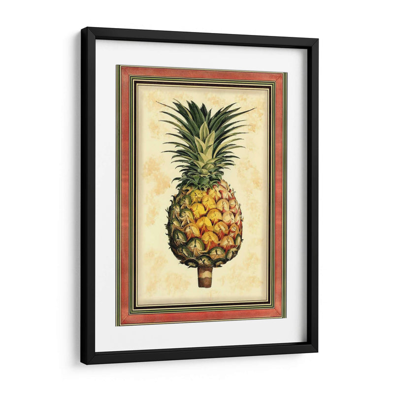 Piña Esplendor I - Vision Studio | Cuadro decorativo de Canvas Lab