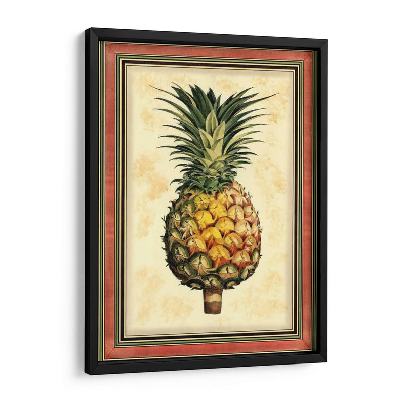 Piña Esplendor I - Vision Studio | Cuadro decorativo de Canvas Lab