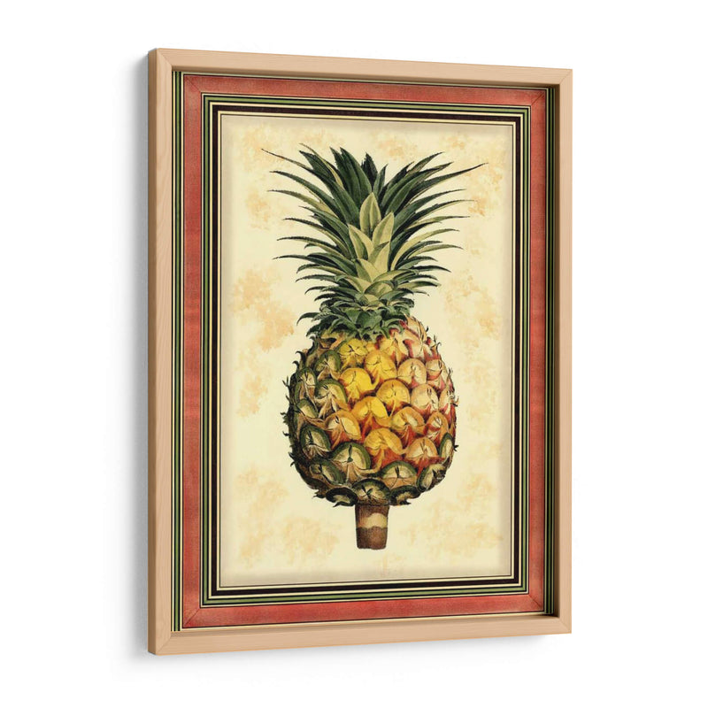 Piña Esplendor I - Vision Studio | Cuadro decorativo de Canvas Lab