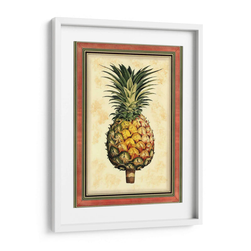 Piña Esplendor I - Vision Studio | Cuadro decorativo de Canvas Lab