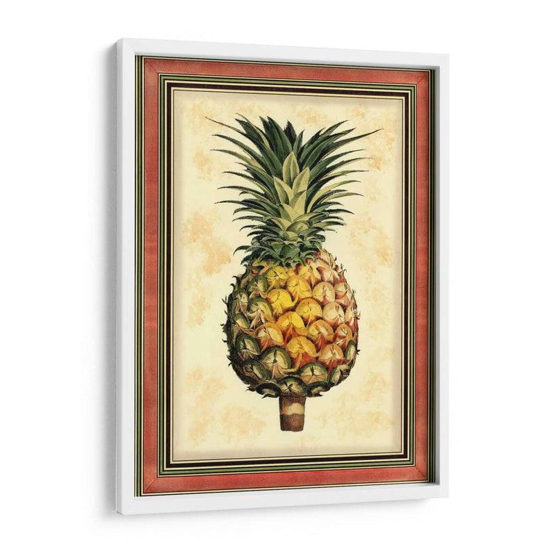 Piña Esplendor I - Vision Studio | Cuadro decorativo de Canvas Lab