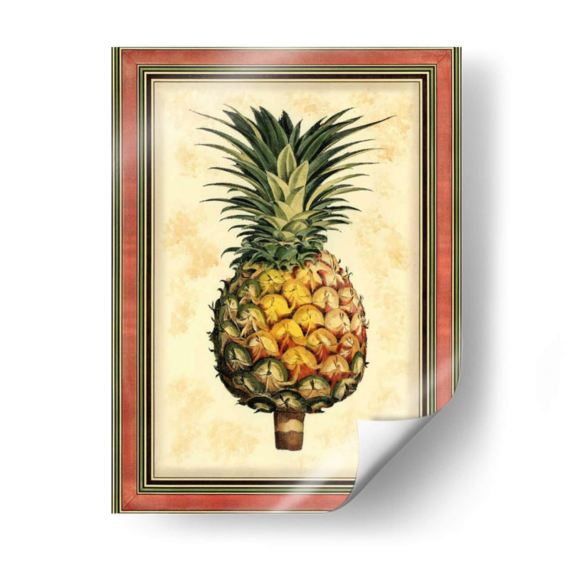 Piña Esplendor I - Vision Studio | Cuadro decorativo de Canvas Lab