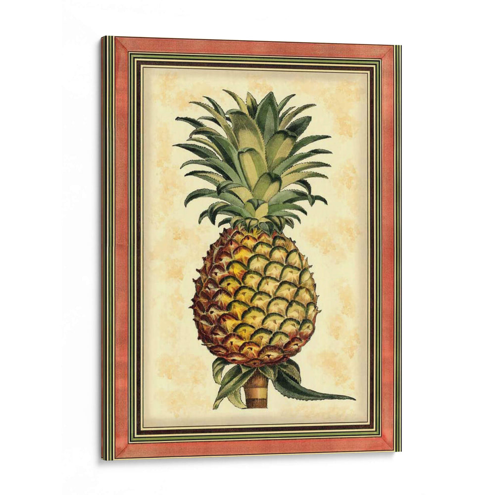 Piña Splendor II - Vision Studio | Cuadro decorativo de Canvas Lab