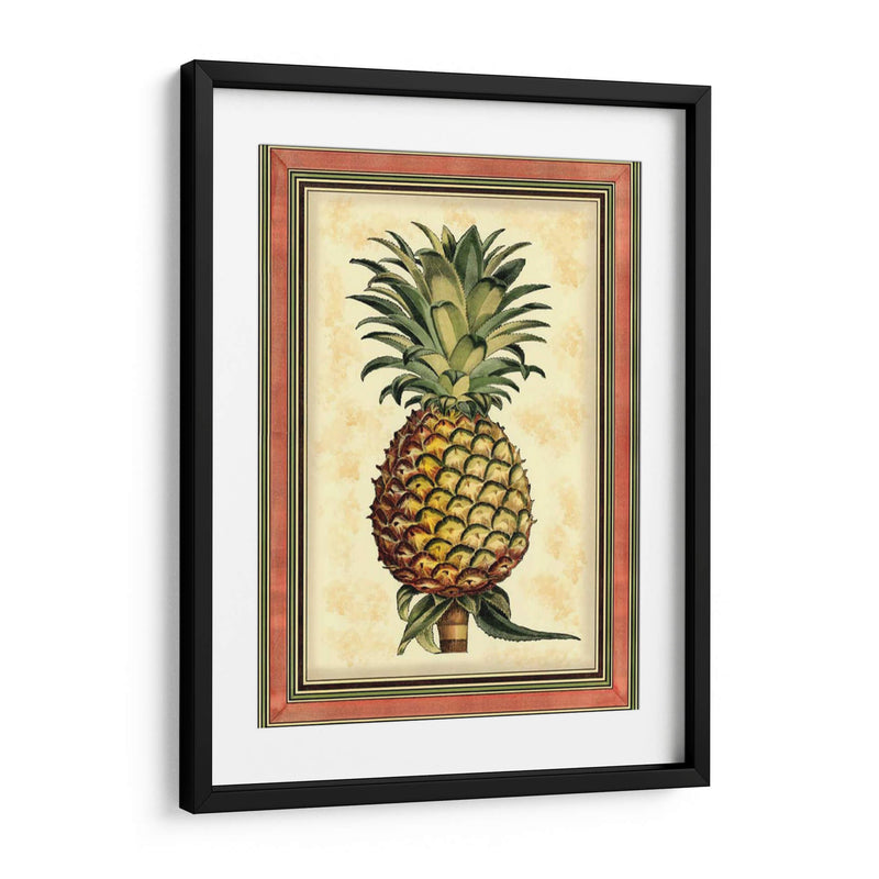 Piña Splendor II - Vision Studio | Cuadro decorativo de Canvas Lab