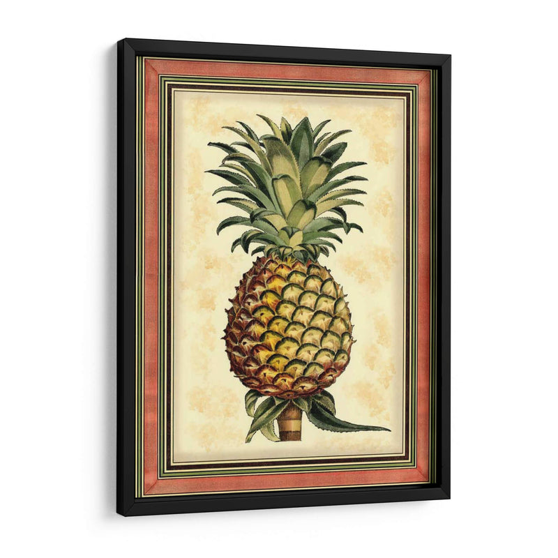 Piña Splendor II - Vision Studio | Cuadro decorativo de Canvas Lab