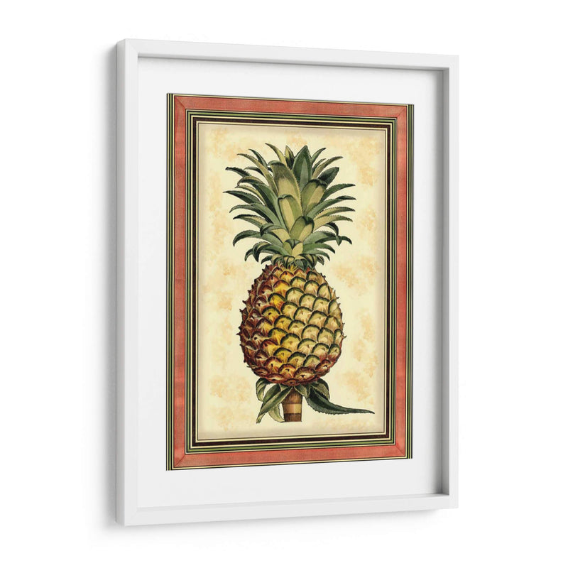 Piña Splendor II - Vision Studio | Cuadro decorativo de Canvas Lab