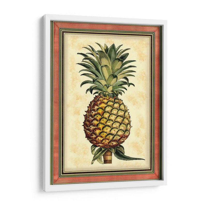 Piña Splendor II - Vision Studio | Cuadro decorativo de Canvas Lab