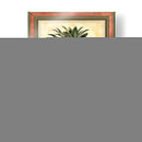 Piña Splendor II - Vision Studio | Cuadro decorativo de Canvas Lab
