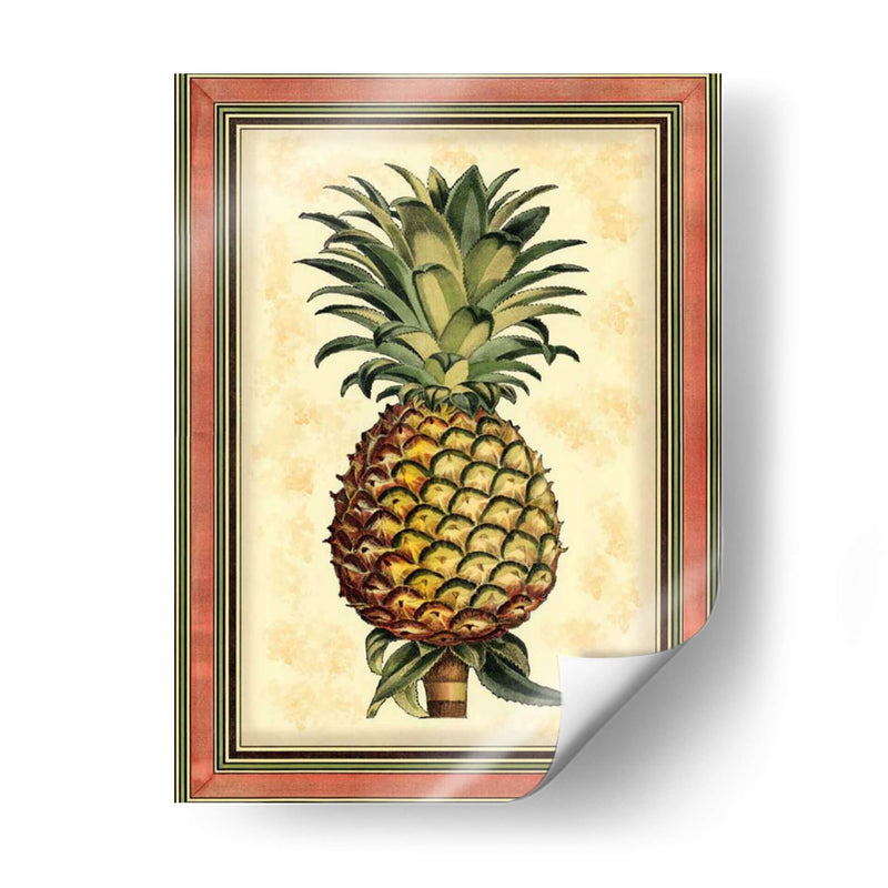 Piña Splendor II - Vision Studio | Cuadro decorativo de Canvas Lab