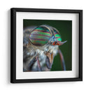 Los ojos de una mosca | Cuadro decorativo de Canvas Lab