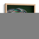 Los ojos de una mosca | Cuadro decorativo de Canvas Lab