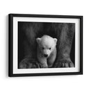 Los principios del oso polar | Cuadro decorativo de Canvas Lab