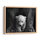 Los principios del oso polar | Cuadro decorativo de Canvas Lab